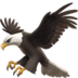 Oxpecker