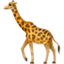 Giraffe Giraffe