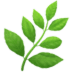 Aromatic
